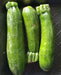 Calabaza Zucchini verde