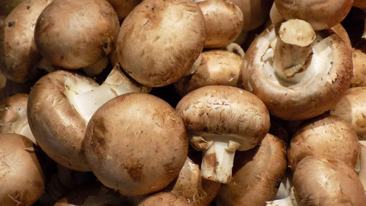 El renacimiento de la gastronomía