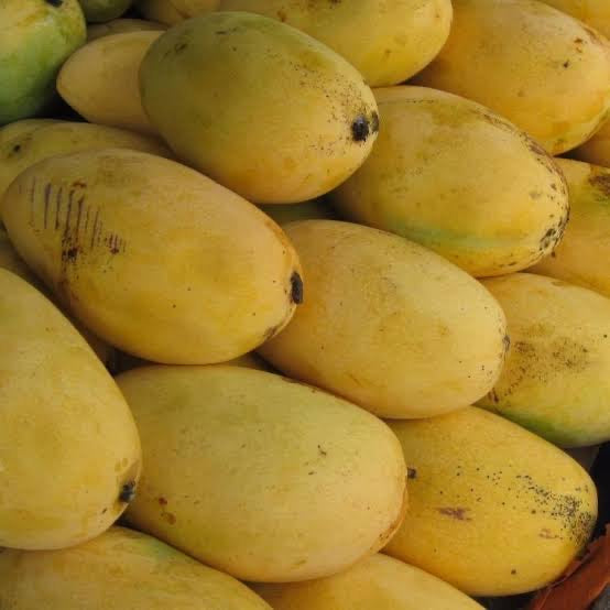 Caja de mango Manila 25 kg