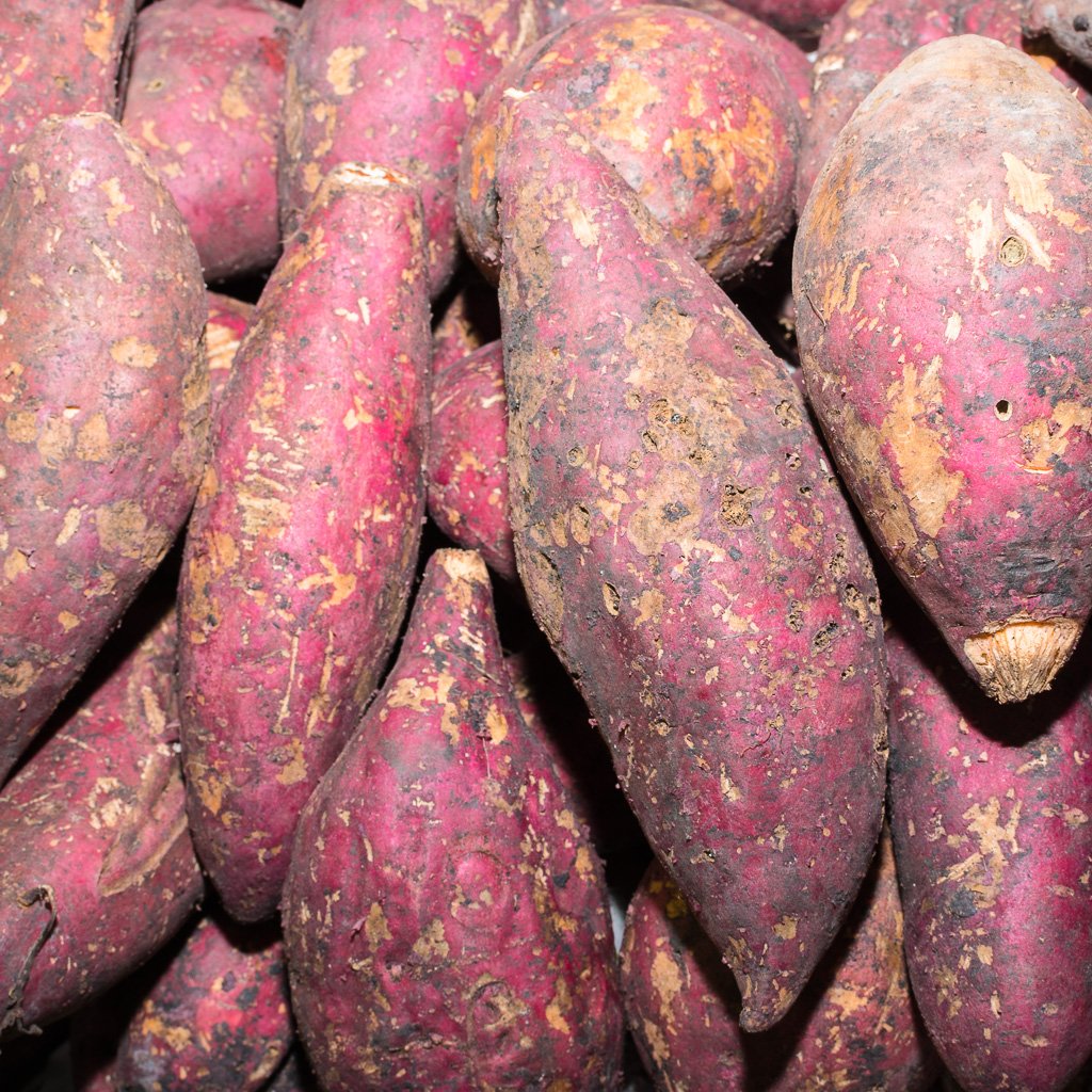 Camote amarillo americano por 1 Kg — Click Abasto