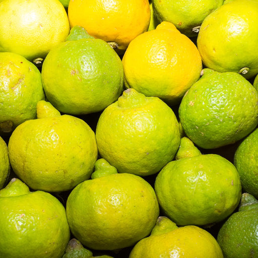 Lima limon