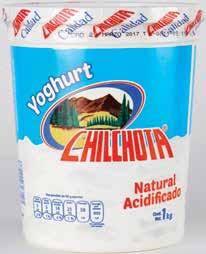 Yogurt cremoso Chilchota 1 Kg